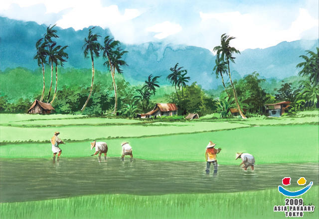 ランカウイ島の稲田