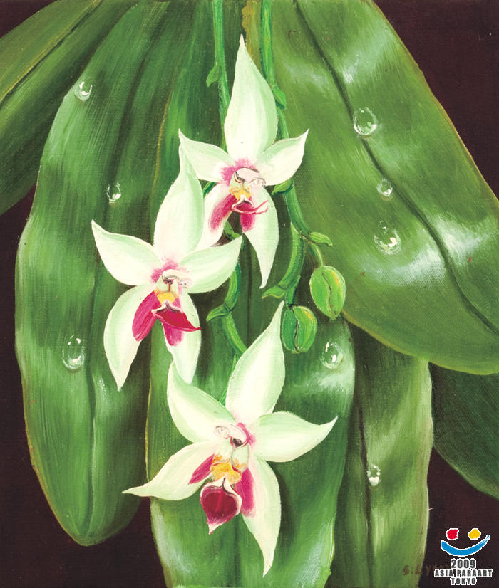 Plants